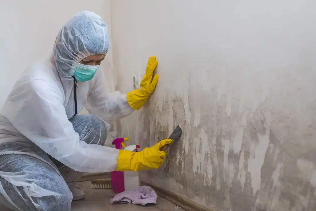 water damage restoration service East Renton Highlands